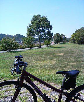 クロスバイク公園で休憩