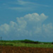 レンガ色の宮古島の畑の土の写真です