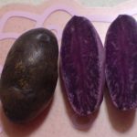 紫色のジャガイモ